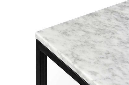 TEMAHOME - Prairie 47X30 Marble Coffee Table in White Marble Top/Black Lacquered Steel Legs - 9500625046 veiw 4