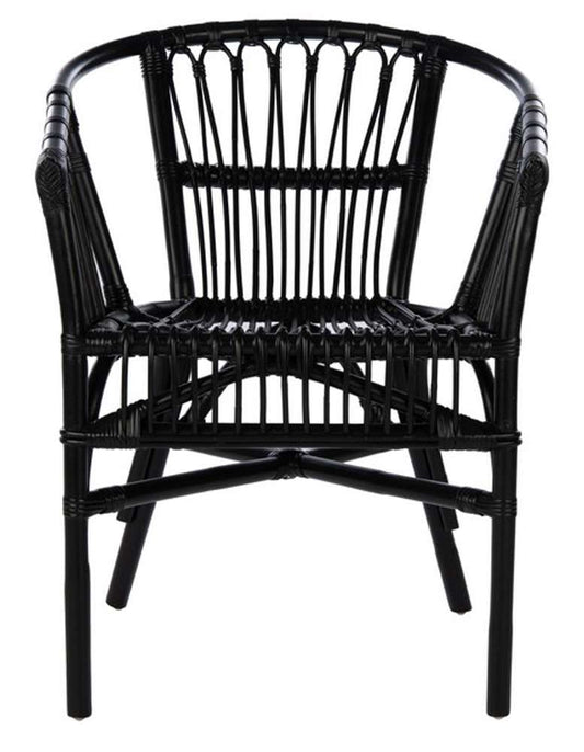 Safavieh - Adriana Rattan Accent Chair - Black  (Set of 2) - ACH6505A-SET2 veiw 1