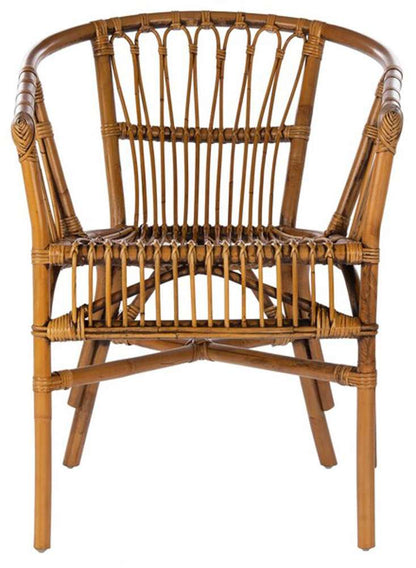 Safavieh - Adriana Rattan Accent Chair - Honey Brwn Wash  (Set of 2) - ACH6505C-SET2 veiw 1