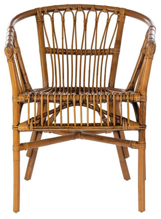 Safavieh - Adriana Rattan Accent Chair - Honey Brwn Wash  (Set of 2) - ACH6505C-SET2 veiw 1