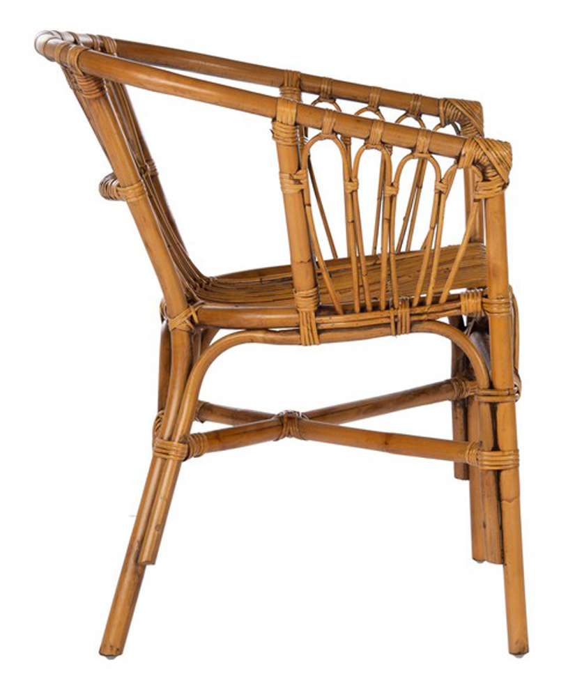 Safavieh - Adriana Rattan Accent Chair - Honey Brwn Wash  (Set of 2) - ACH6505C-SET2 veiw 2