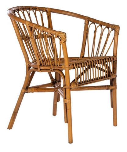 Safavieh - Adriana Rattan Accent Chair - Honey Brwn Wash  (Set of 2) - ACH6505C-SET2 veiw 3