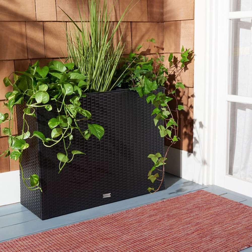 Safavieh - Rita Flower Rack - Black - PAT7705A veiw 2
