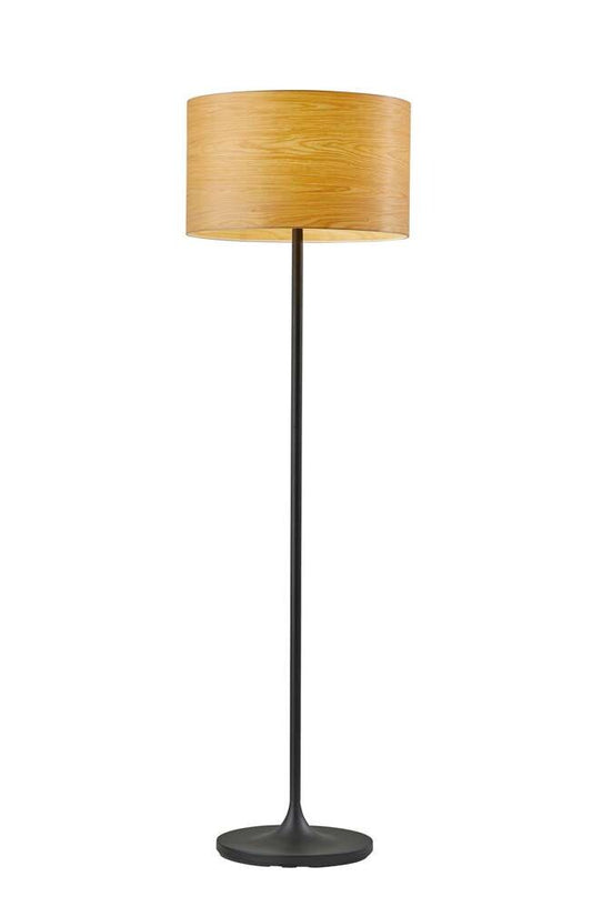 Adesso Home - Oslo Floor Lamp - 6237-12 veiw 1