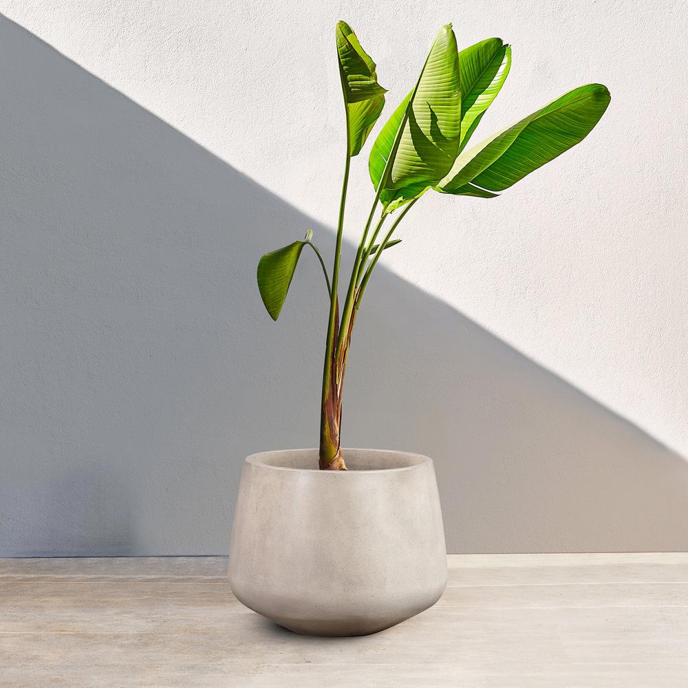 Armen Living - Amethyst Medium Round Lightweight White Concrete Indoor or Outdoor Planter in white - LCAWSMPLWH veiw 6