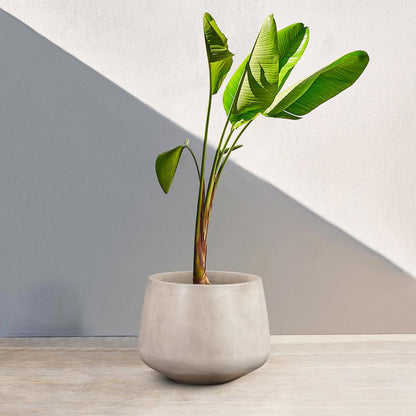 Armen Living - Amethyst Medium Round Lightweight White Concrete Indoor or Outdoor Planter in white - LCAWSMPLWH veiw 6
