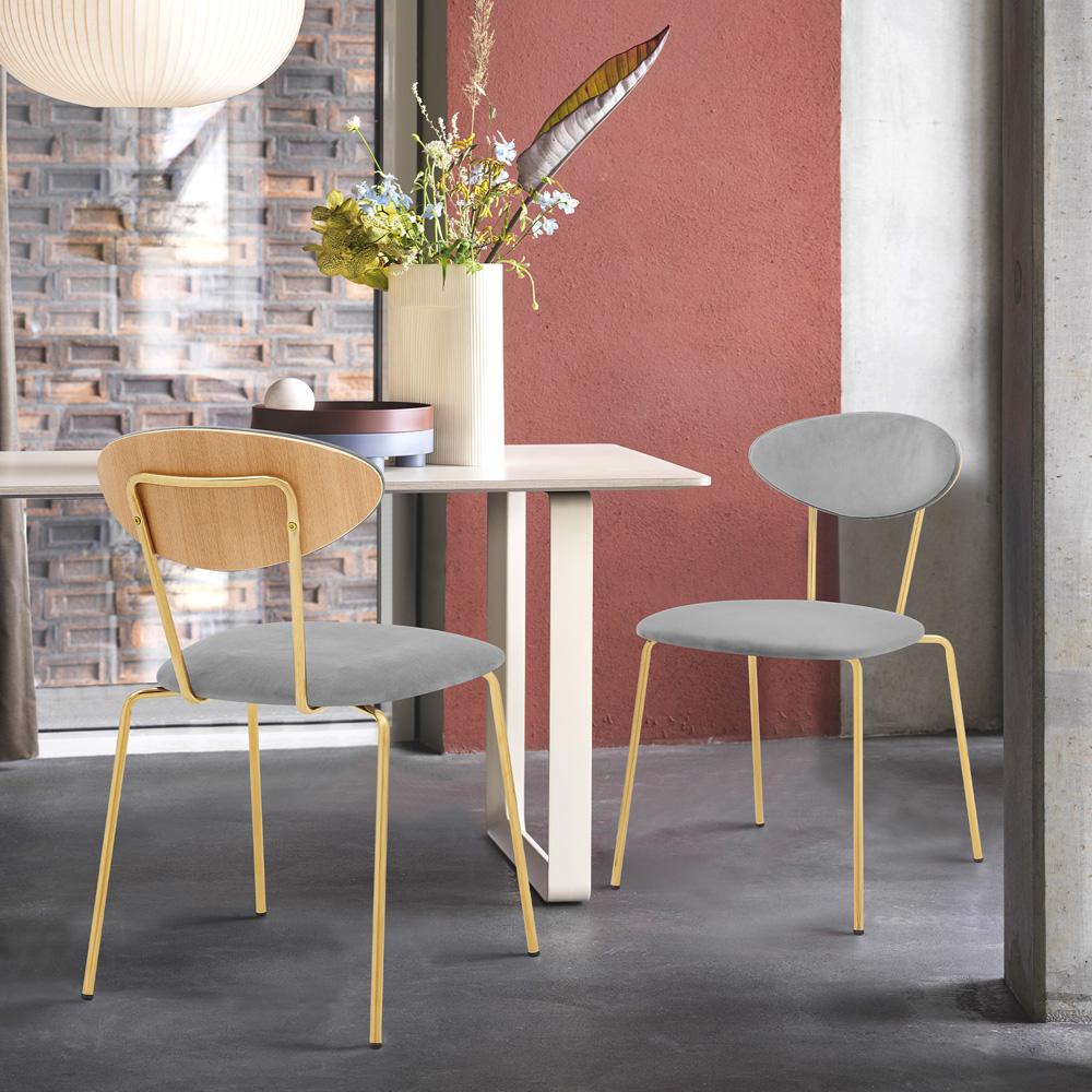 Armen Living - Neo Modern Gray Velvet and Gold Metal Leg Dining Room Chairs (Set of 2) - LCNESIGLGRY veiw 8