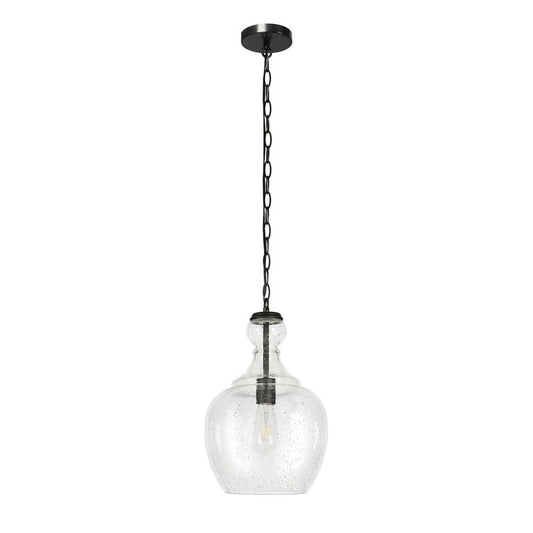 Hudson & Canal - Verona 11in Wide Pendant with Glass Shade in Blackened Bronze/Seeded - PD0272 veiw 1