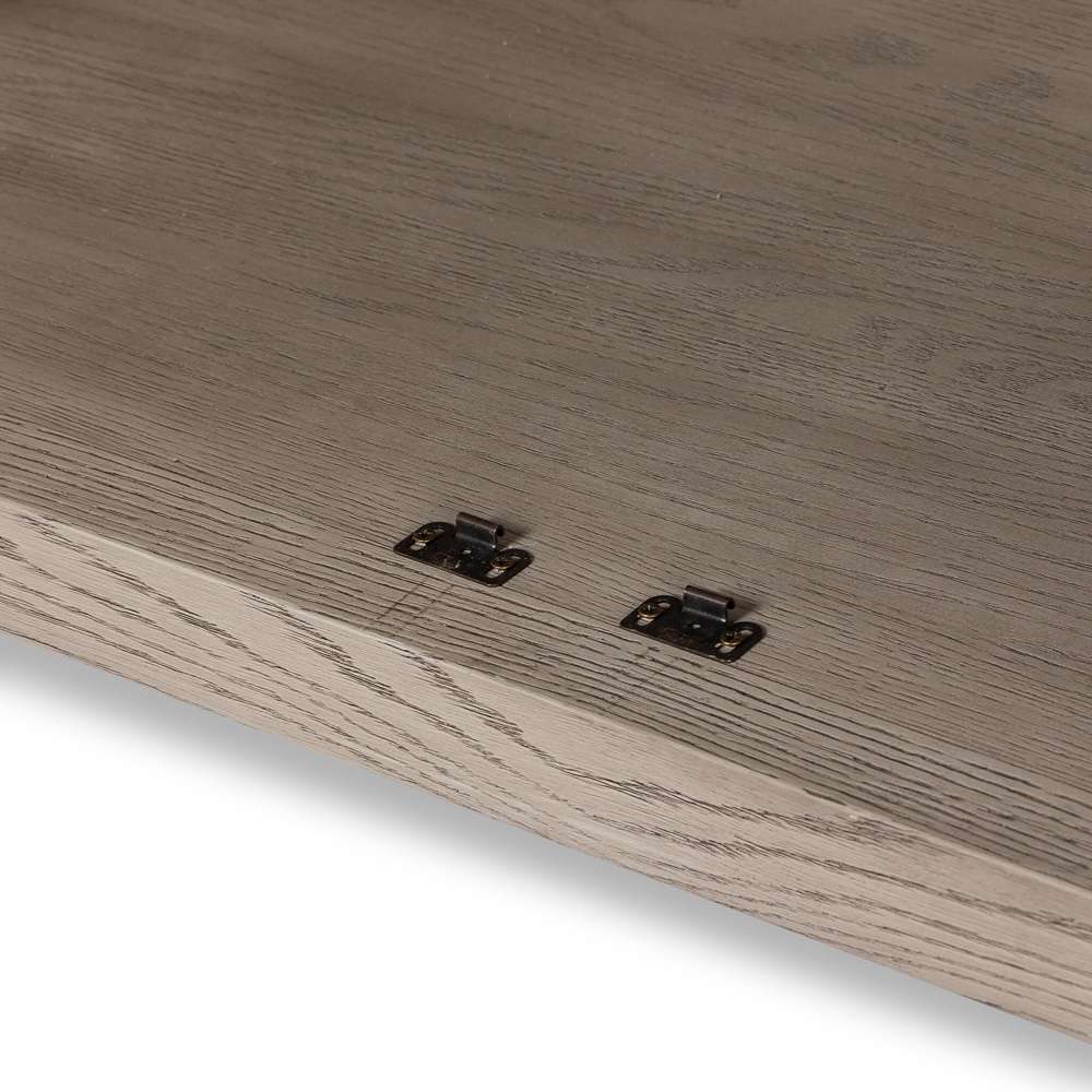 Four Hands - Tolle Panel Door Cabinet - Rustic White Solid - 234782-005 veiw 12