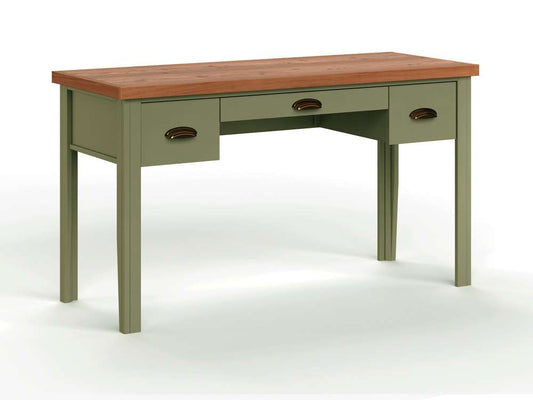Legends Furniture - Bridgevine Home 53 in. Sage Green and Fruitwood Finish Solid Wood Writing Desk - VY6210.SFL veiw 2