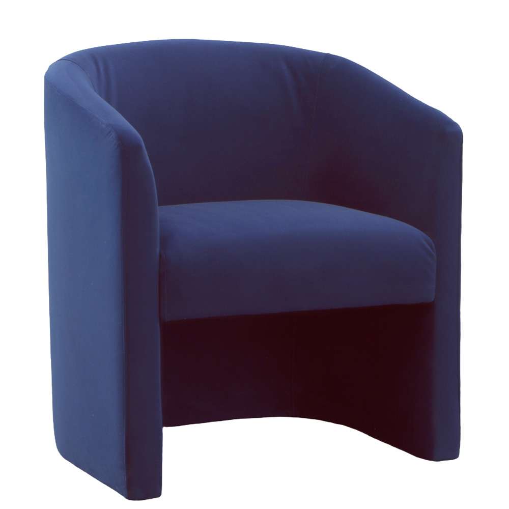 Steve Silver - Iris Upholstered Accent Chair - Indigo - IR500B veiw 2