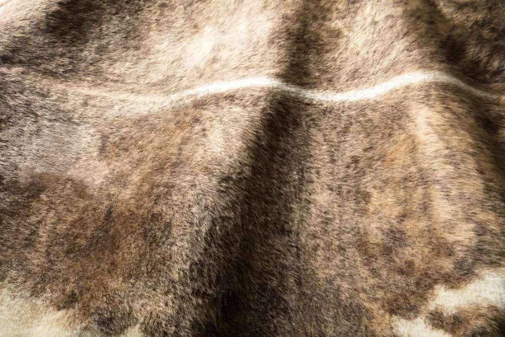 Loloi - Grand Canyon Camel / Beige 6-2in x 8 Area Rug - GRANGC-01CABE6280 veiw 4