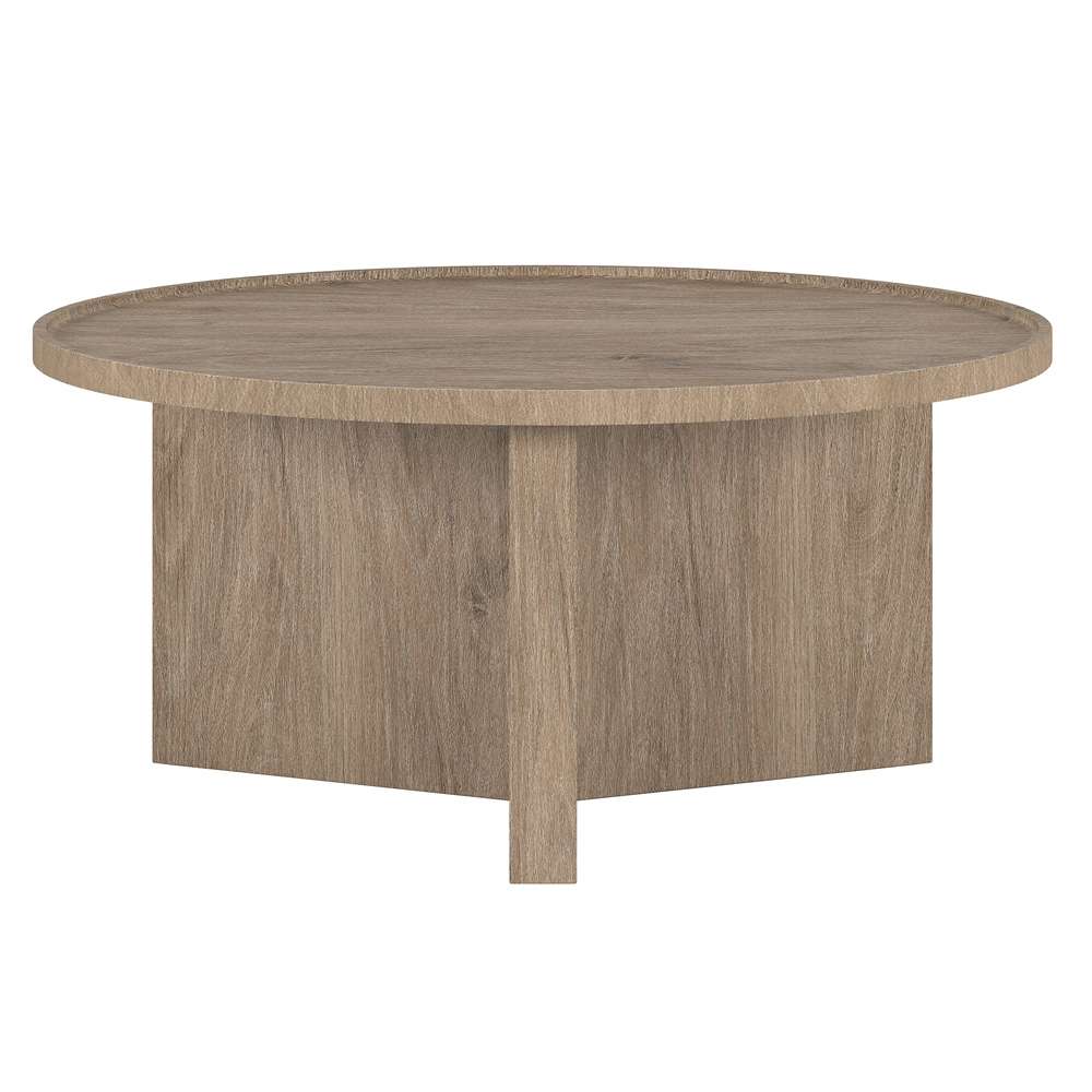 Hudson & Canal - Gunnar 32in Wide Round Coffee Table in Antiqued Gray Oak - CT2119 veiw 2