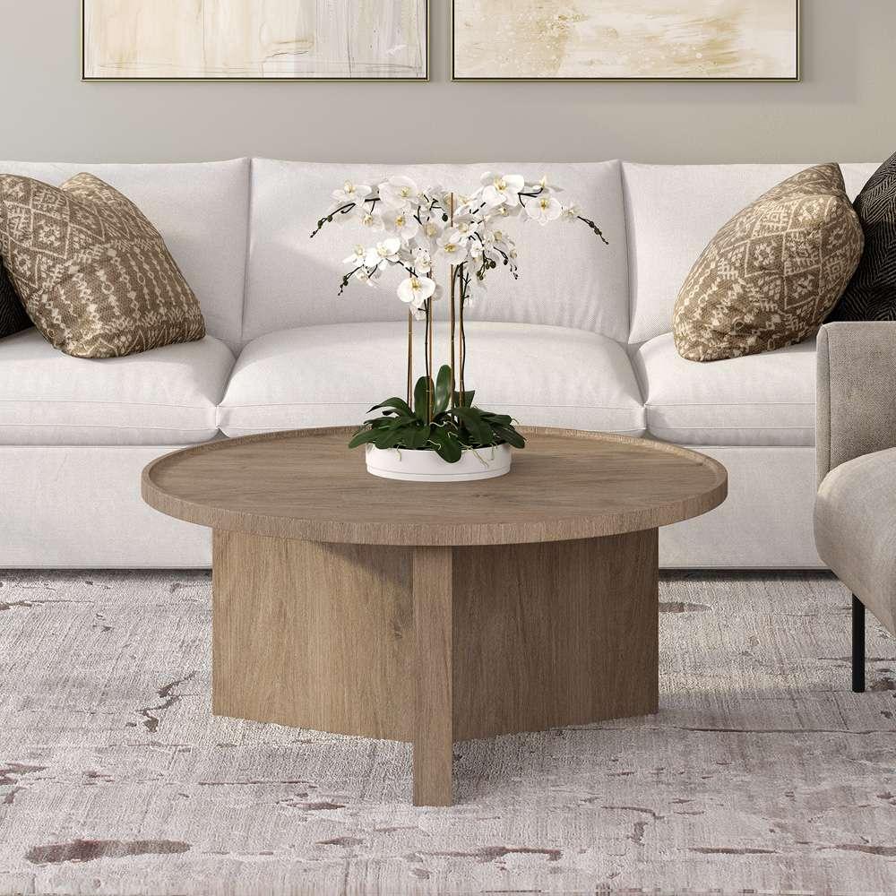 Hudson & Canal - Gunnar 32in Wide Round Coffee Table in Antiqued Gray Oak - CT2119 veiw 5
