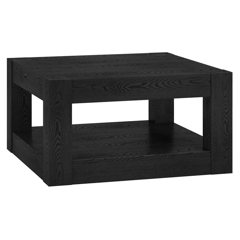 Hudson & Canal - Hughes 32in Wide Square Coffee Table in Black Grain - CT2026 veiw 1