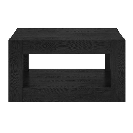 Hudson & Canal - Hughes 32in Wide Square Coffee Table in Black Grain - CT2026 veiw 2