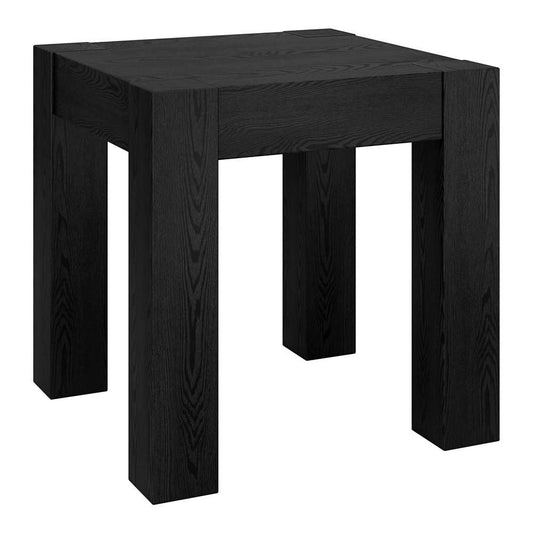 Hudson & Canal - Langston 22in Wide Square Side Table in Black Grain - ST2032 veiw 1