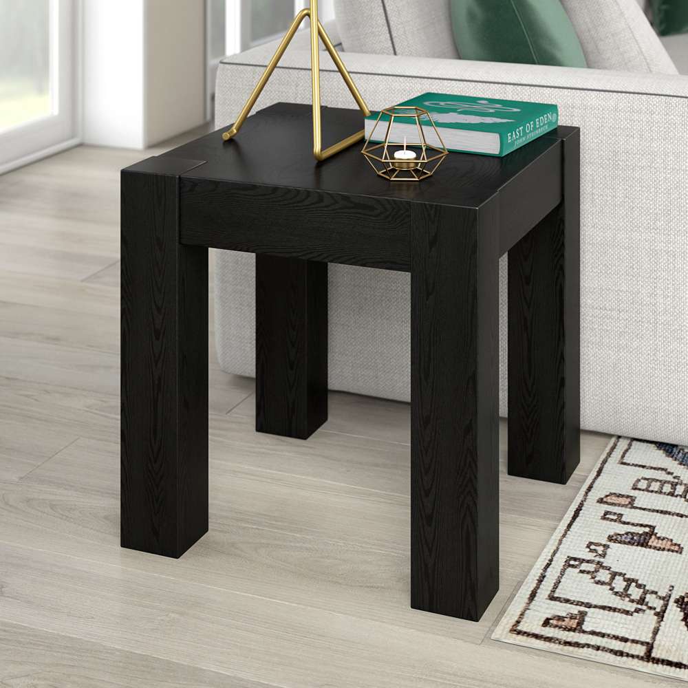 Hudson & Canal - Langston 22in Wide Square Side Table in Black Grain - ST2032 veiw 6
