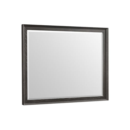 Intercon Furniture - Bayside Dresser Mirror in Black - BY-BR-9891-BLK-C veiw 1