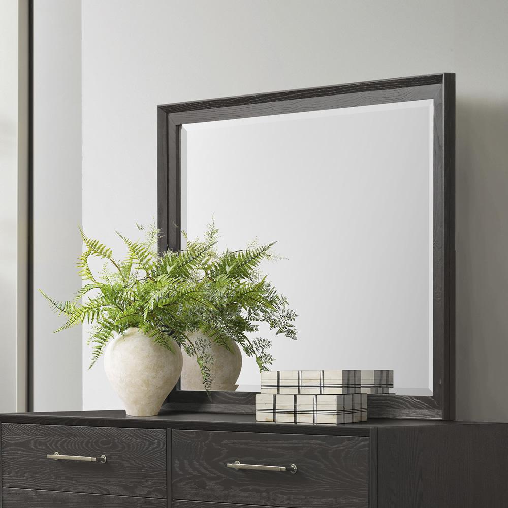 Intercon Furniture - Bayside Dresser Mirror in Black - BY-BR-9891-BLK-C veiw 2