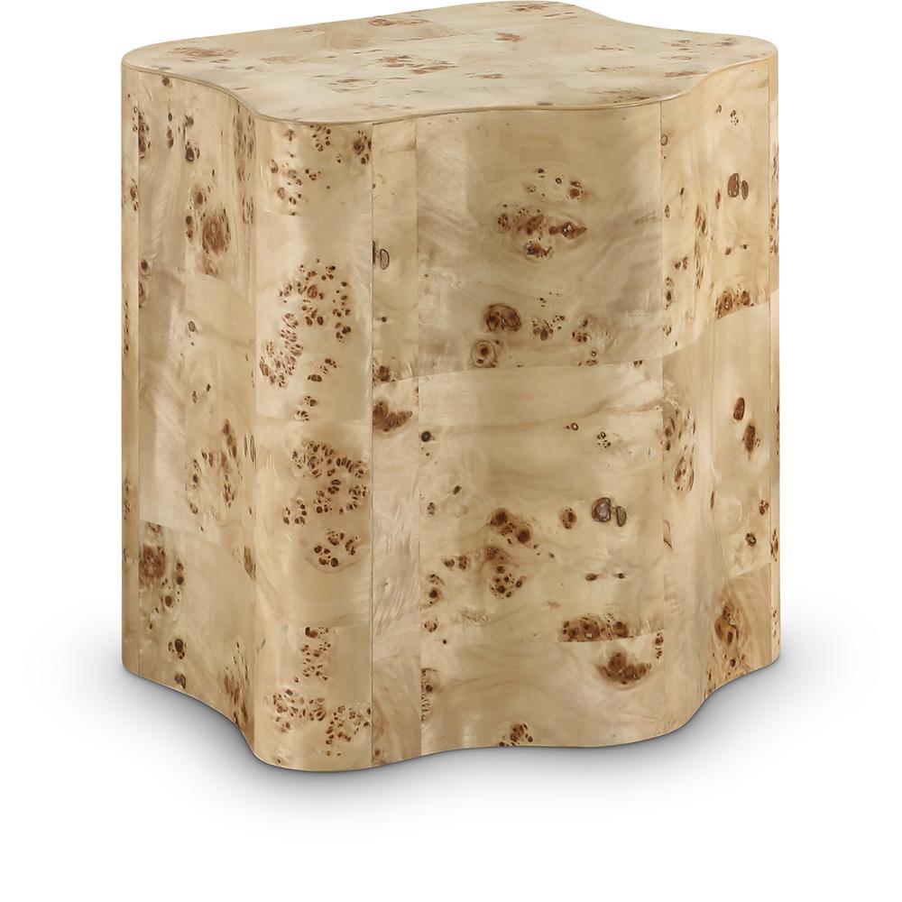 Meridian Furniture - Zaire Burl End Table - 99067Burl-ET veiw 1