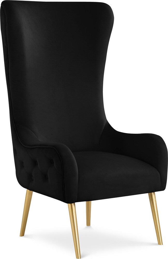 Meridian Furniture - Alexander Black Velvet Accent Chair - 536Black veiw 1