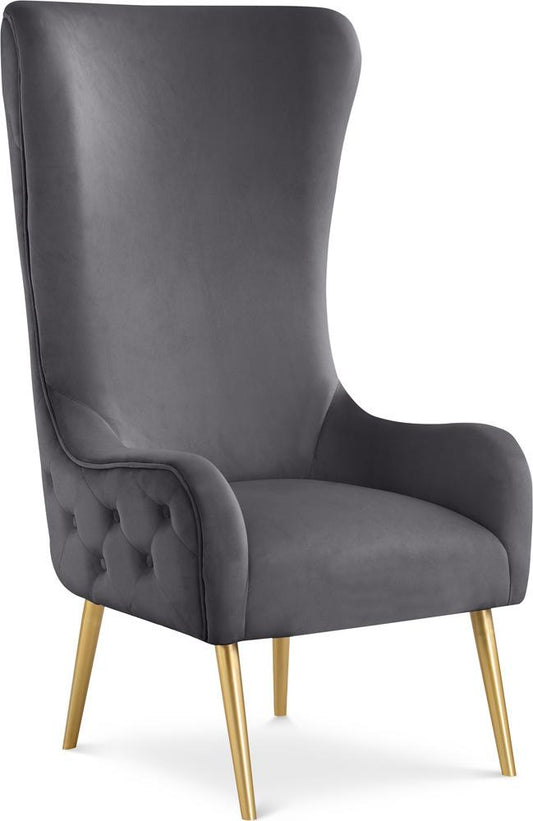 Meridian Furniture - Alexander Grey Velvet Accent Chair - 536Grey veiw 1