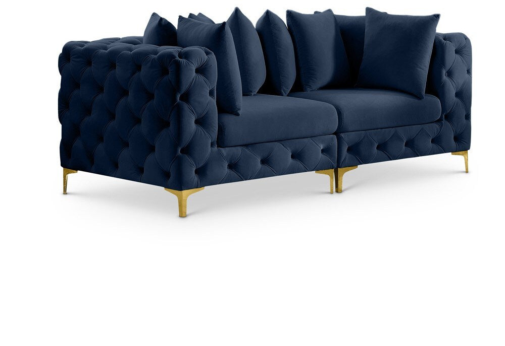 Meridian Furniture - Tremblay Navy Velvet Modular Sofa - 2Pc - 686Navy-S78 veiw 1