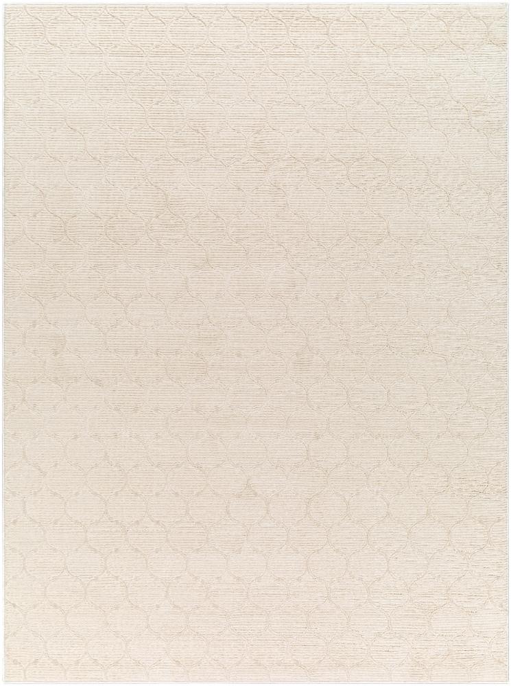Livabliss - Alder 5x7 Machine Woven Rug - ALD2307-4117 veiw 1