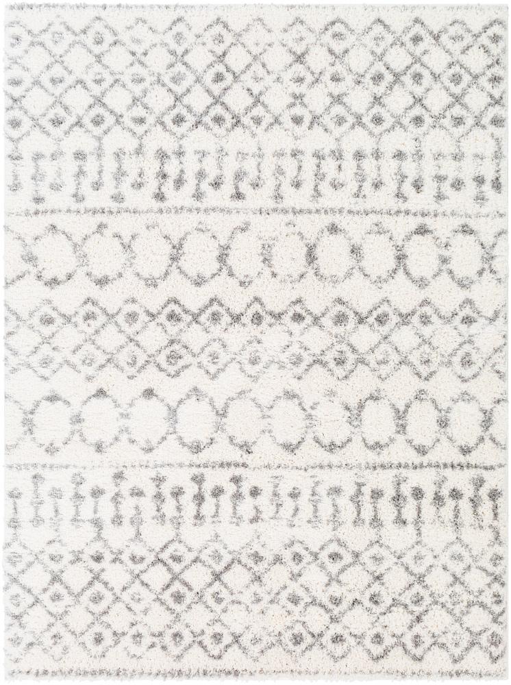Livabliss - Aliyah Shag 2x211in Machine Woven Rug - ALH2302-23 veiw 1