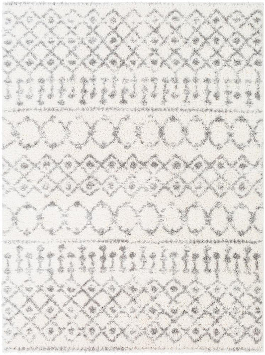 Livabliss - Aliyah Shag 53inx73in Machine Woven Rug - ALH2302-5373 veiw 1