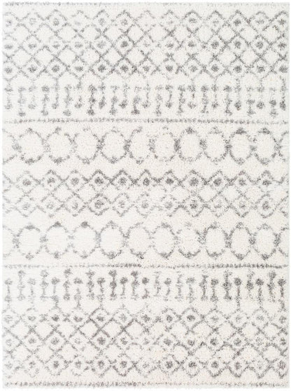 Livabliss - Aliyah Shag 67inx9 Machine Woven Rug - ALH2302-679 veiw 1