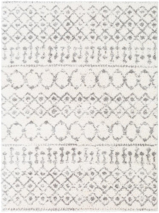 Livabliss - Aliyah Shag 67inx9 Machine Woven Rug - ALH2302-679 veiw 1