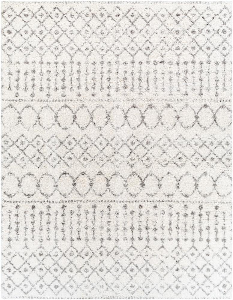Livabliss - Aliyah Shag 710inx10 Machine Woven Rug - ALH2302-71010 veiw 1