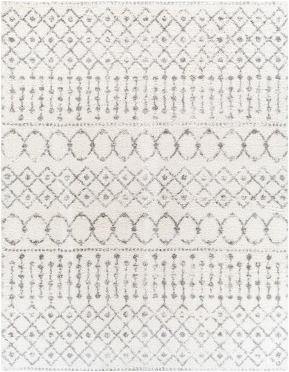 Livabliss - Aliyah Shag 710inx10 Machine Woven Rug - ALH2302-71010 veiw 1