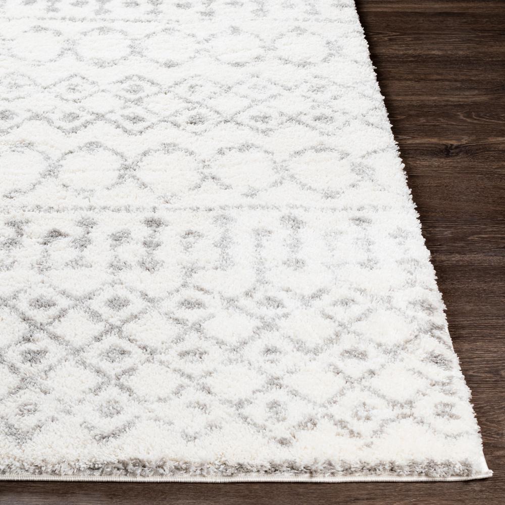 Livabliss - Aliyah Shag 710inx10 Machine Woven Rug - ALH2302-71010 veiw 5