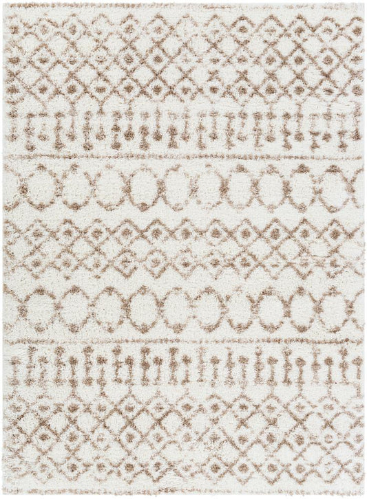 Livabliss - Aliyah Shag 67inx9 Machine Woven Rug - ALH2303-679 veiw 1