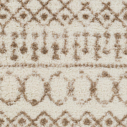 Livabliss - Aliyah Shag 67inx9 Machine Woven Rug - ALH2303-679 veiw 4
