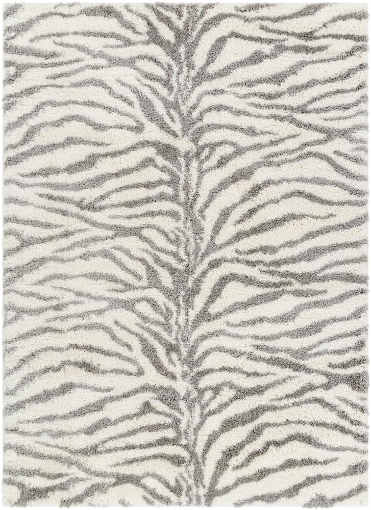 Livabliss - Aliyah Shag 67inx9 Machine Woven Rug - ALH2308-679_CLOSEOUT veiw 1