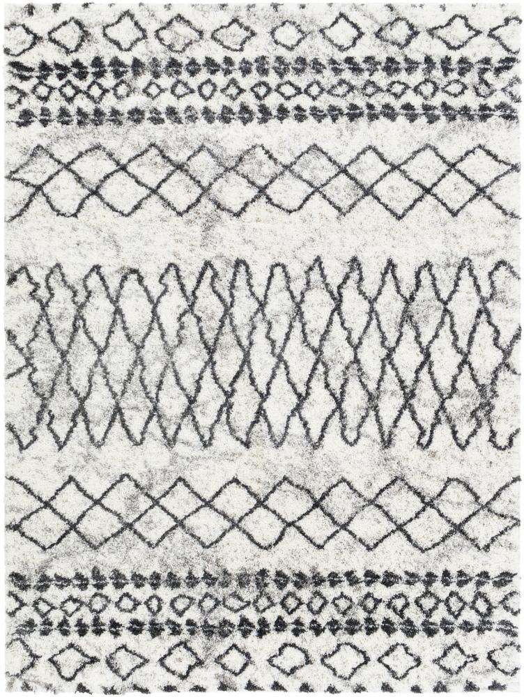 Livabliss - Aliyah Shag 53inx73in Machine Woven Rug - ALH2311-5373 veiw 1