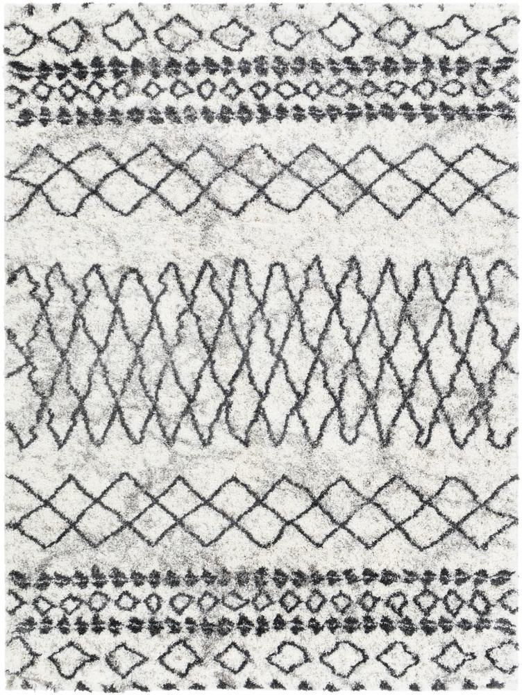 Livabliss - Aliyah Shag 67inx9 Machine Woven Rug - ALH2311-679 veiw 1