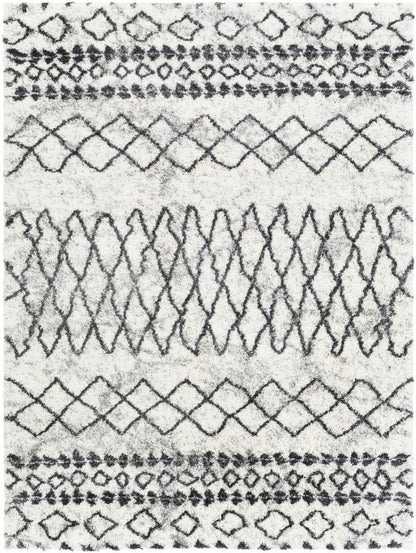Livabliss - Aliyah Shag 67inx9 Machine Woven Rug - ALH2311-679 veiw 1