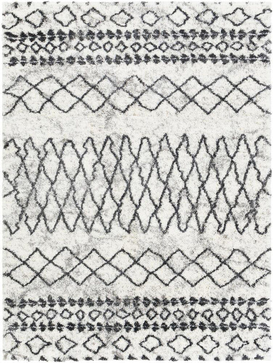 Livabliss - Aliyah Shag 67inx9 Machine Woven Rug - ALH2311-679 veiw 1