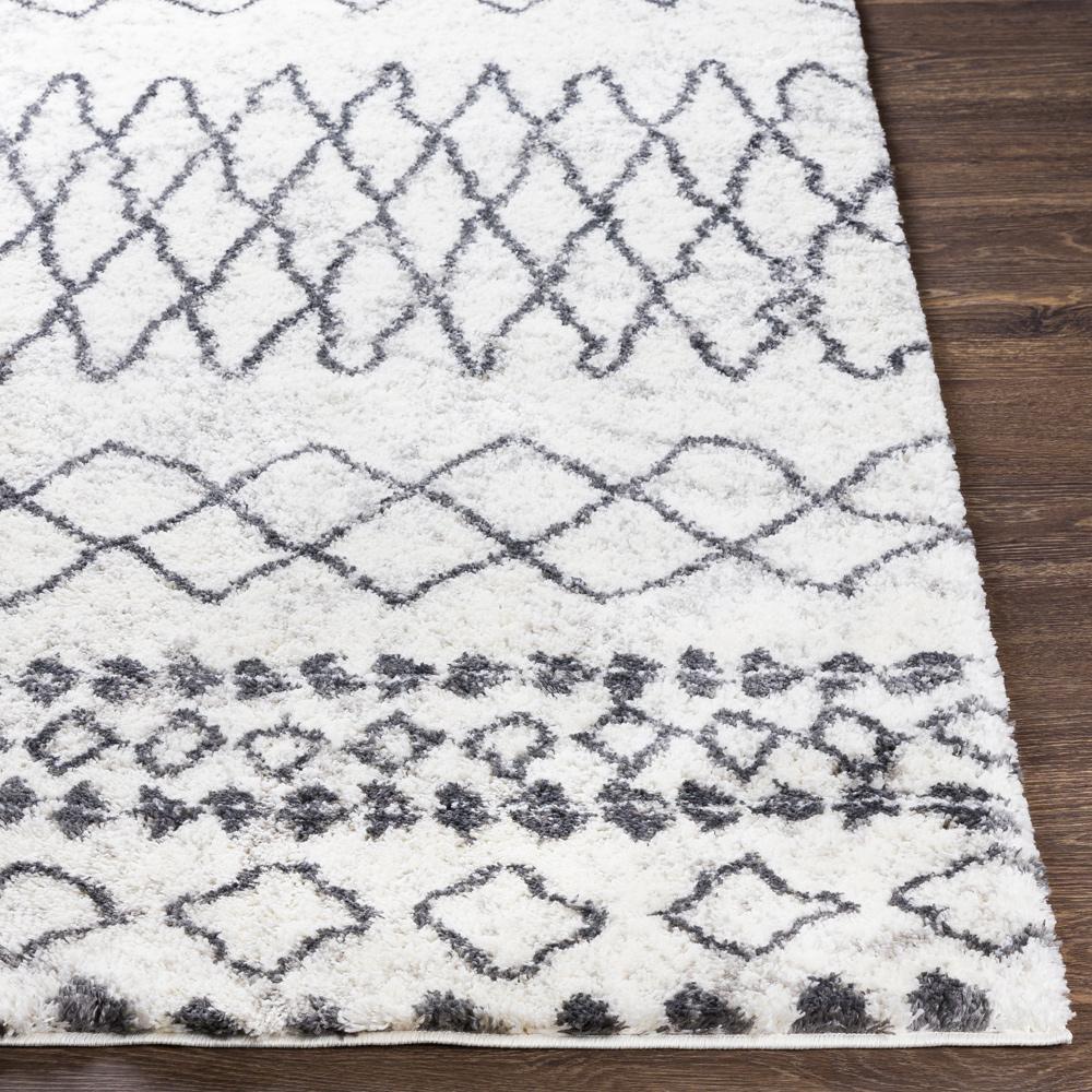 Livabliss - Aliyah Shag 67inx9 Machine Woven Rug - ALH2311-679 veiw 5