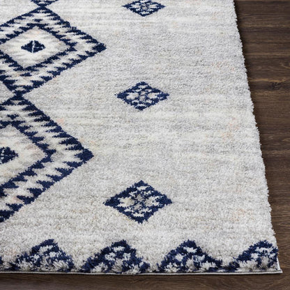 Livabliss - Aliyah Shag 53inx73in Machine Woven Rug - ALH2313-5373_CLOSEOUT veiw 5