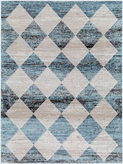 Livabliss - Allegro 53inx7 Machine Woven Rug - ALG2349-537 veiw 1