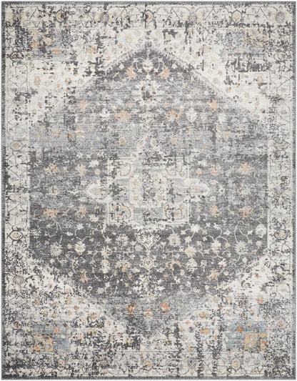 Livabliss - Alpharetta 710inx10 Machine Woven Rug - APH2301-71010 veiw 1