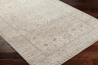 Livabliss - Alpharetta 53inx7 Machine Woven Rug - APH2303-537 veiw 3
