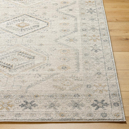 Livabliss - Alpharetta 710inx10 Machine Woven Rug - APH2305-71010 veiw 4