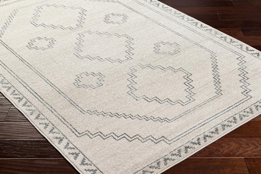 Livabliss - Alpharetta 67inx9 Machine Woven Rug - APH2306-679 veiw 3